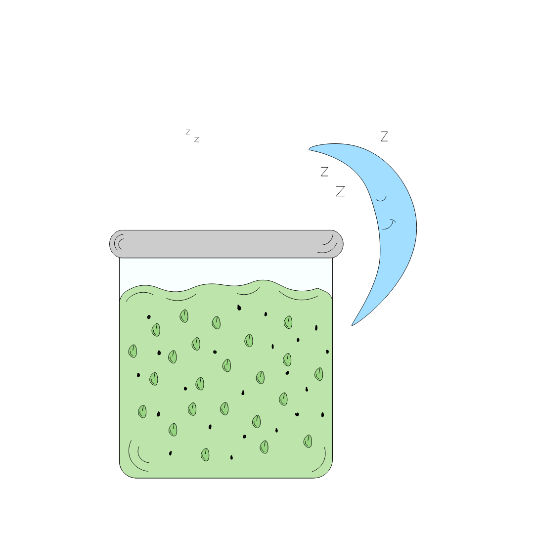 OVERNIGHT MATCHA OATS
